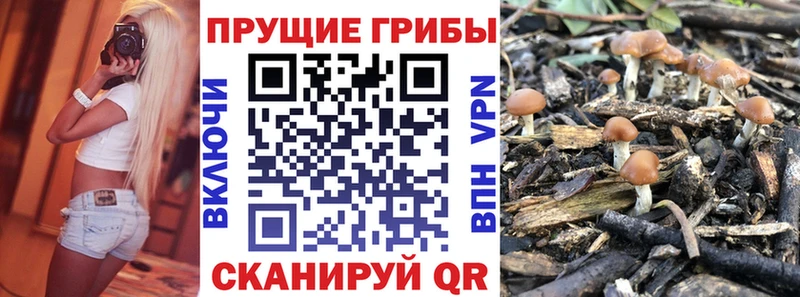 Галлюциногенные грибы GOLDEN TEACHER  даркнет сайт  Калуга 